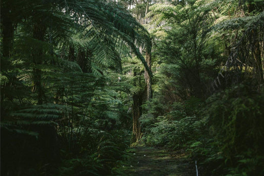 Sustainability Strategy Update Report
